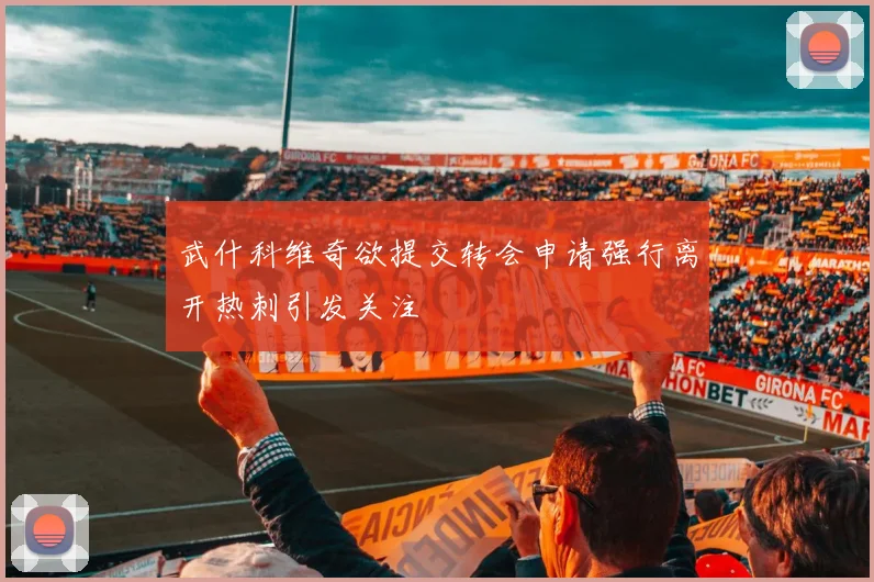 武什科维奇欲提交转会申请强行离开热刺引发关注